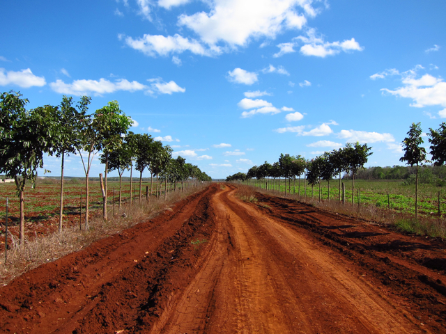 Mennonite road