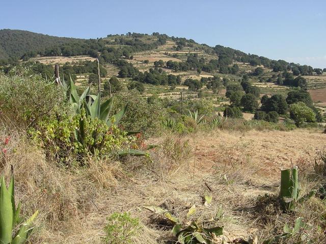 A view of the confluence