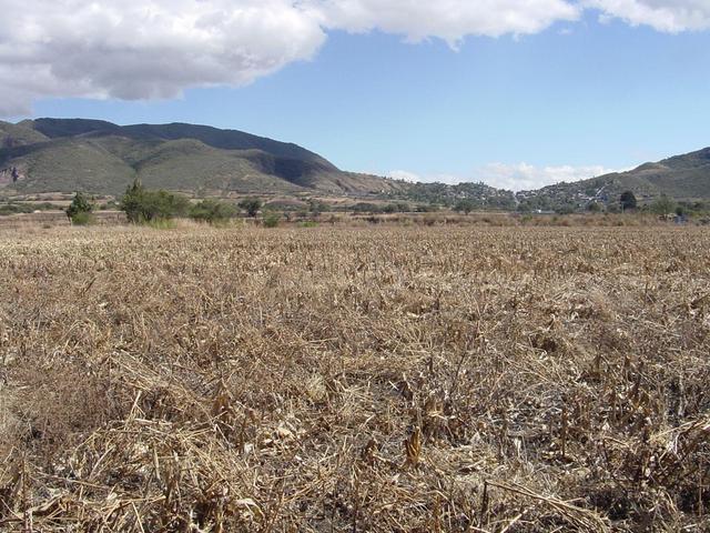 General view of the confluence