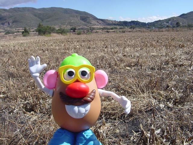 Mr. Potatohead at the confluence