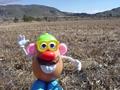 #4: Mr. Potatohead at the confluence