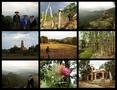 #8: Collage: team, hat, Raul, Toliman, David, forest, Adriel, flower, chapel