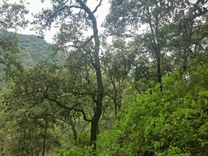 Vista al norte. North view