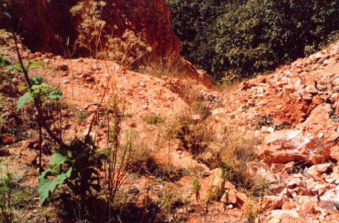 1: Confluence point is midway into this 100 mt deep precipice. What a luck !.