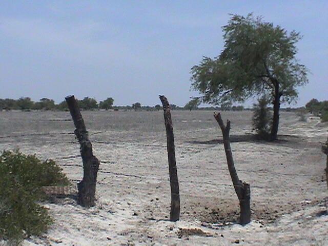 Confluence point at 245 mts (from South)