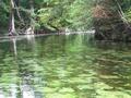 #7: Río Sabino o Sabinas a 2 km. aporox. al sur de la confluencia