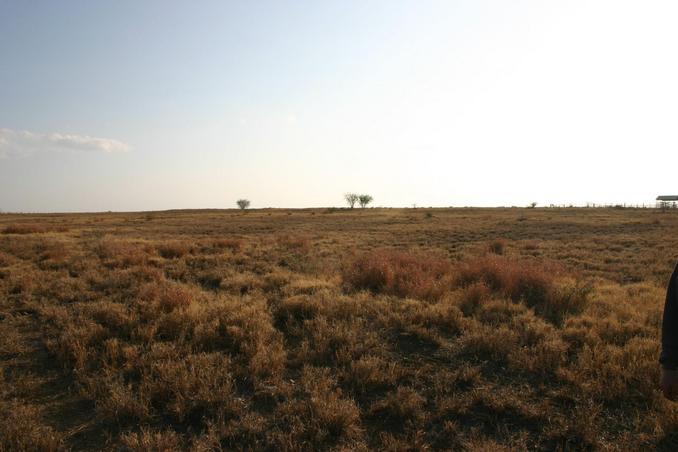 Vista al Oeste desde el punto