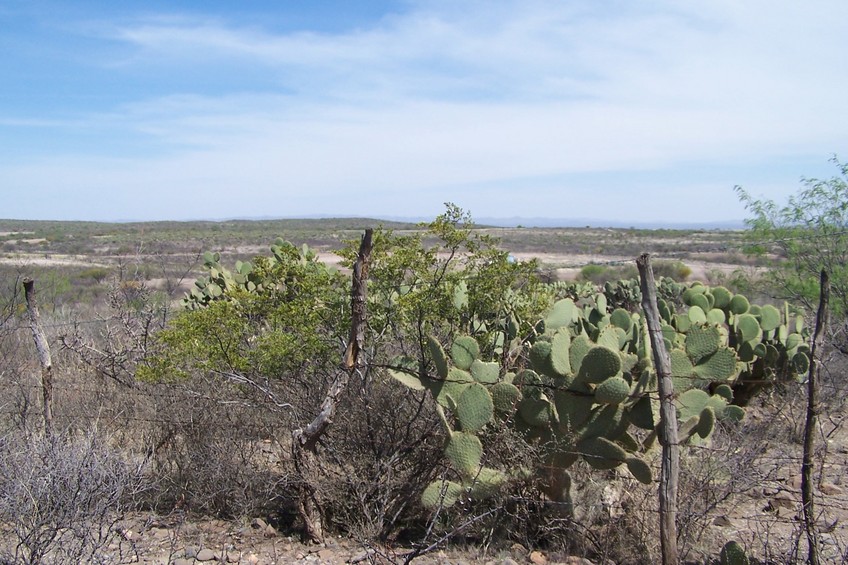 Vista al Este. East view