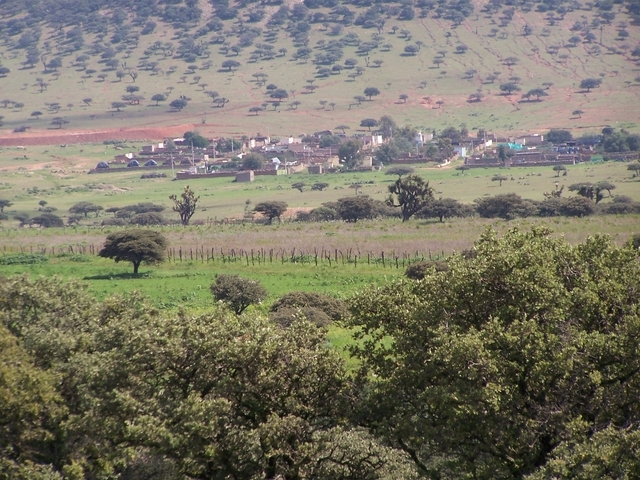 El Triunfo a dos kms. de la Confluencia