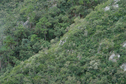 #5: confluence is at the rocky outcrop at center of photo