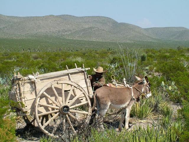 Don Hilario y su carreta