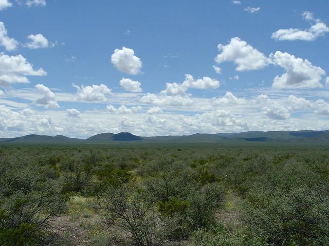 At confluence looking South