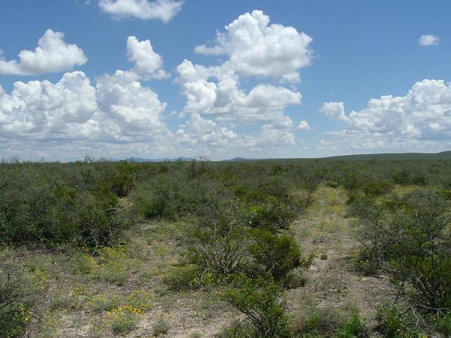 At confluence looking East