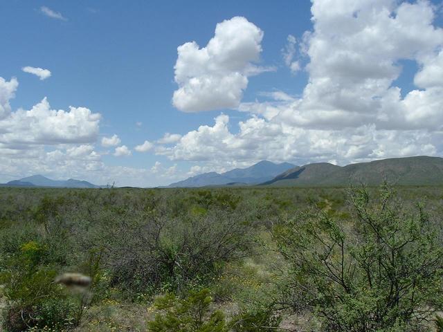 At confluence looking West