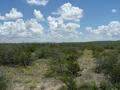 #3: At confluence looking East