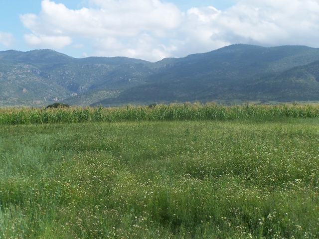 Vista general del área