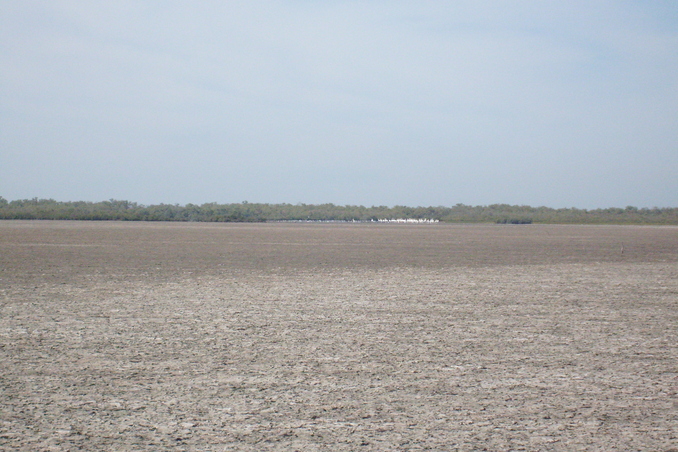 Panoramica de la confluencia