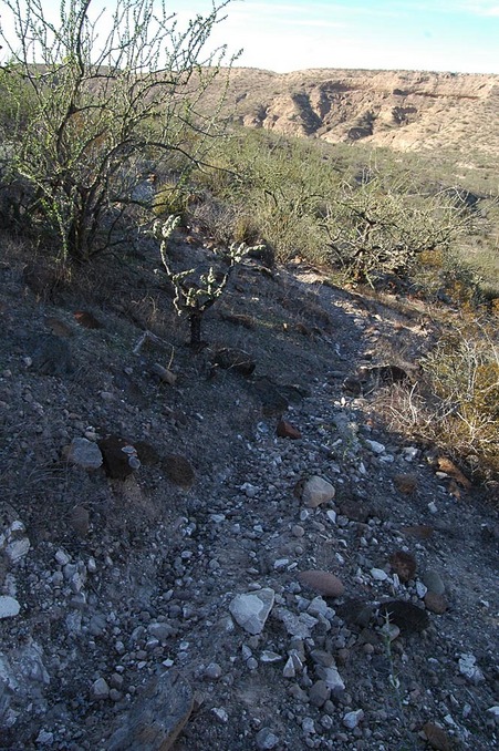 this well established Indian trail runs right past the confluence