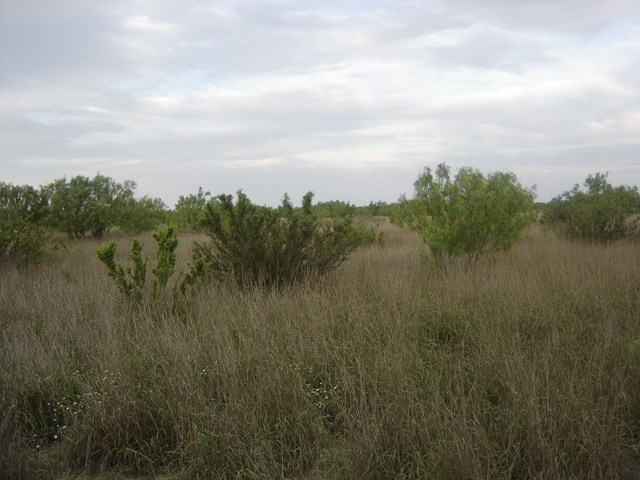 East View, the easiest way to reach this confluence following the parcelas on the banks of río Salado, which I would much rather remember as "Río Afortunado"