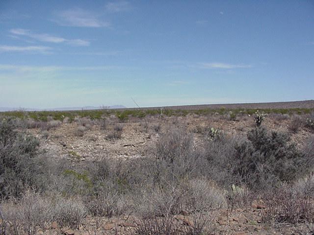 North view from the point