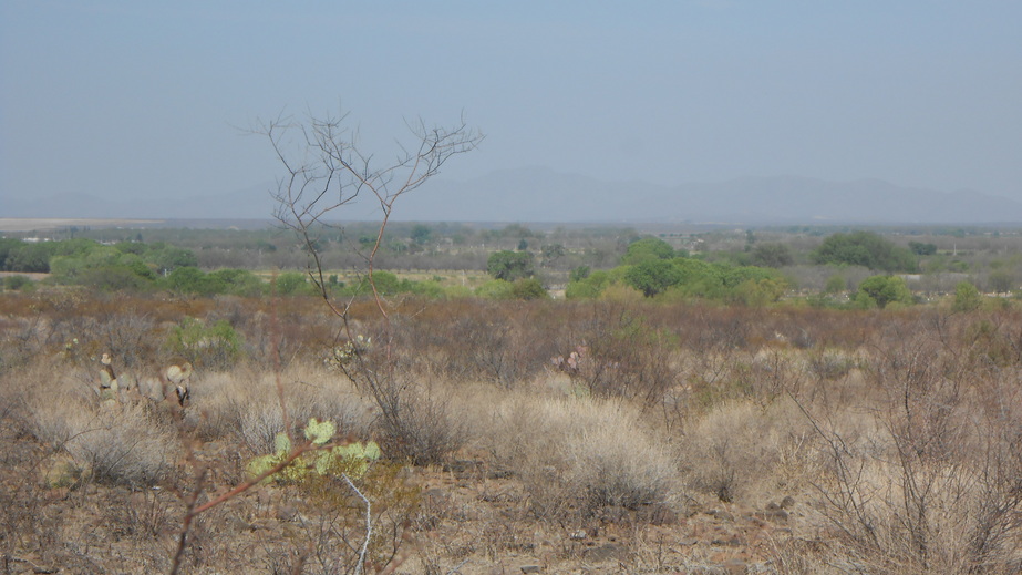 Vista Oeste. West view