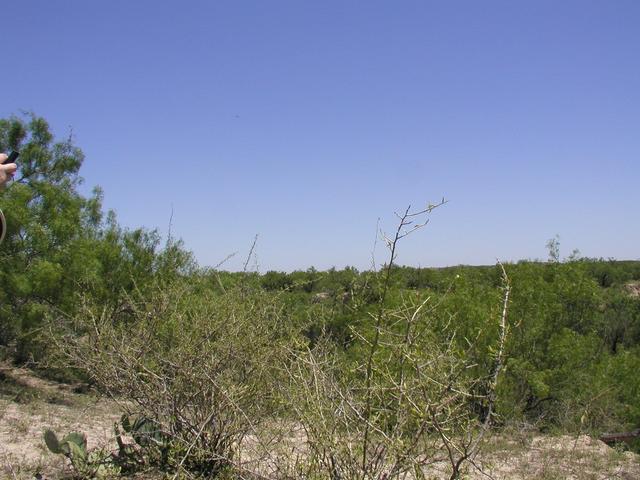 The view North from the point.