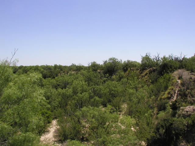 The view East from the point.