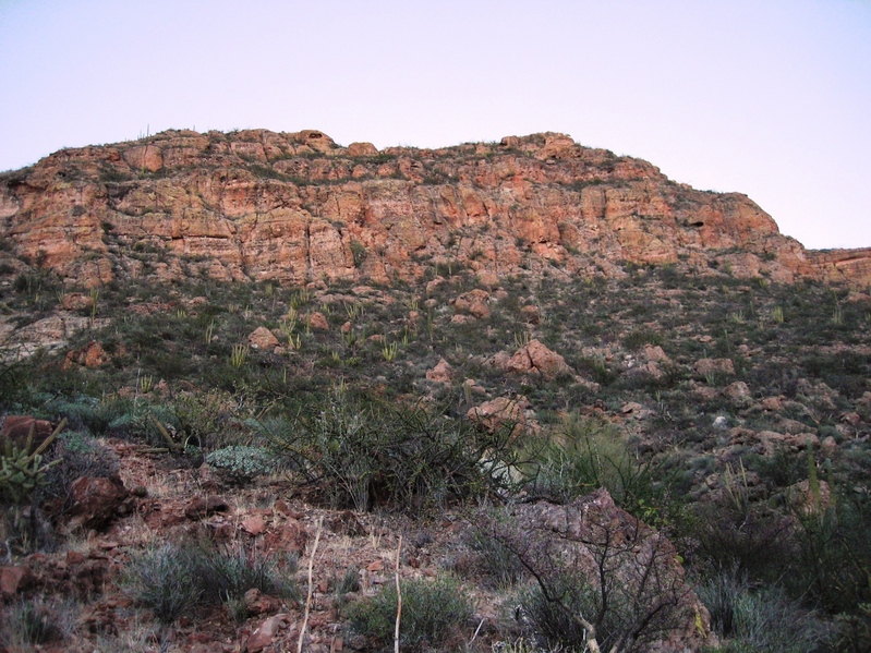 Here it is about 150 yards up from the bottom of the Canyon. Dead center of the photo.