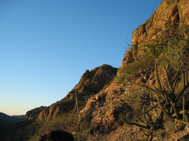 View looking North from the confluence