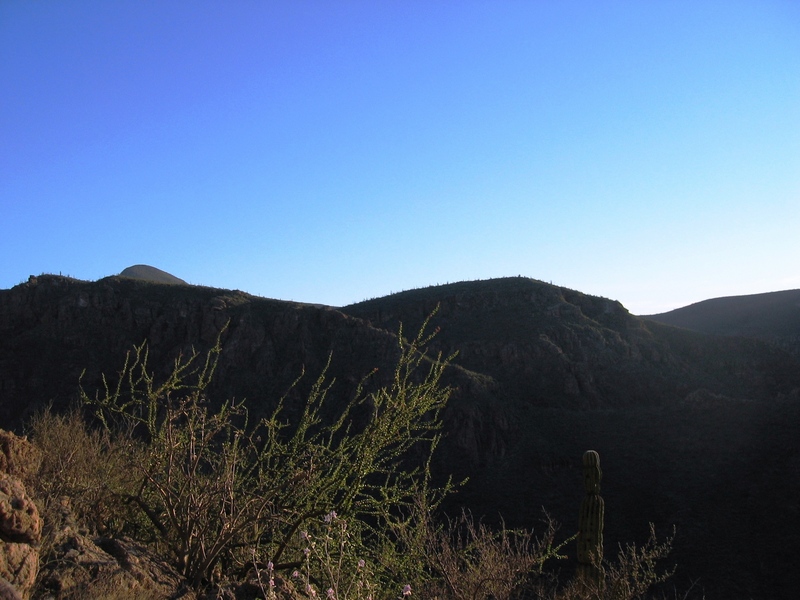 View looking South from the confluence