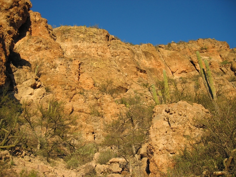 View looking East from the confluence