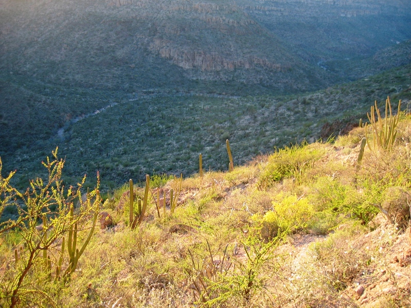 View looking West from the confluence