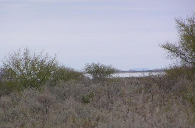 Vista al NE hacia el lago.