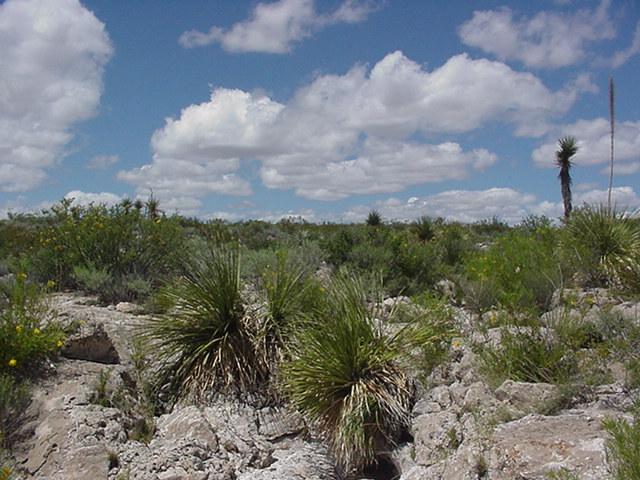 Vista hacia el NORTE