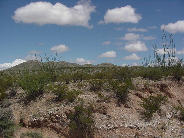 Panoramica hacia el ESTE