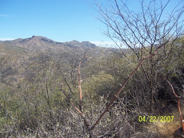 North view from the confluence point