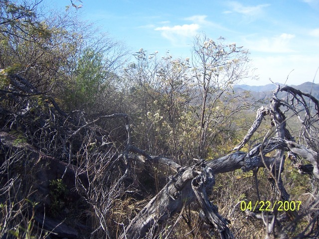 South view from the confluence point