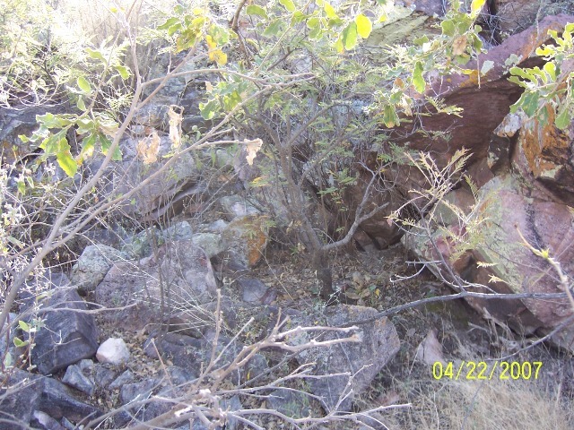 East view from the confluence point (mountain slope)