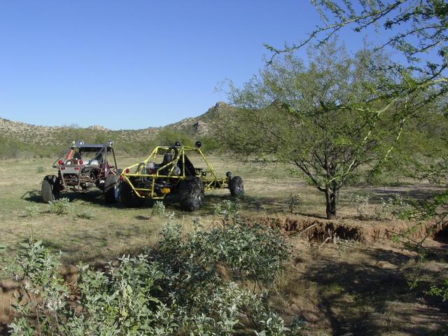  Looking E from the confluence. A few branches of paloverde in the foreground and a mesquite tree. The arroyo banks show some erosion probably caused by overgrazing