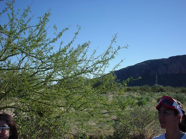 From the confluence looking S towards "Cerro Colorado" and the powerline that appears in photo 8