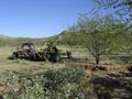 #3:  Looking E from the confluence. A few branches of paloverde in the foreground and a mesquite tree. The arroyo banks show some erosion probably caused by overgrazing