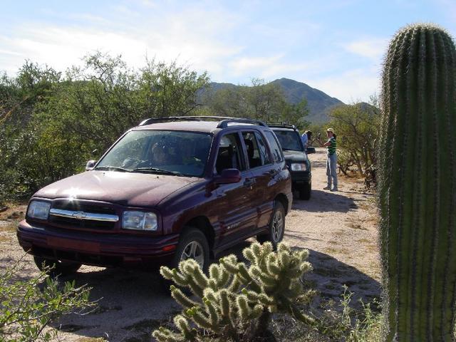 Stop to discuss the bearings. A saguaro cactus in the foreground.