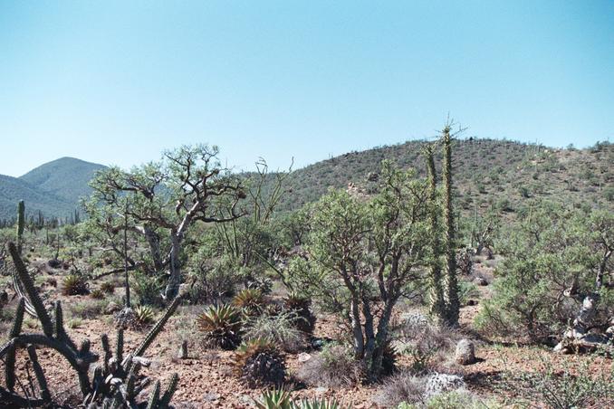 The spot; confluence marked by baseball cap (front-center)