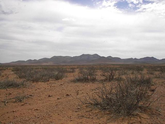 View of the point.