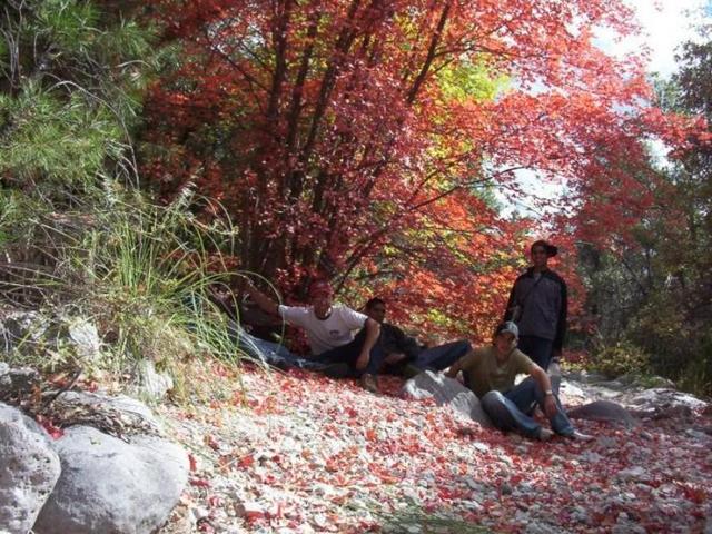 Some of us at a nice tree we found while walking to the point.