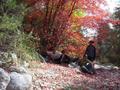 #3: Some of us at a nice tree we found while walking to the point.