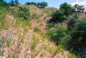 #4: from confluence point looking east