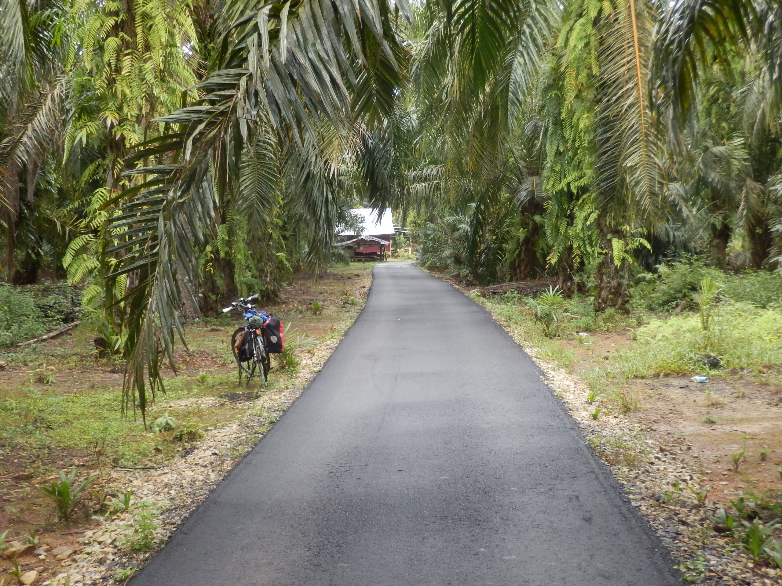 Road 100 m from the Confluence