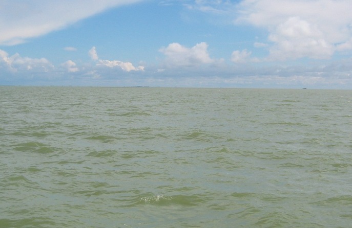 View towards the confluence from 1.6 km North-West