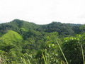 #2: Confluence as seen from the road (500m distance)